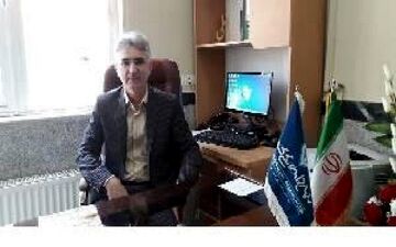 
61 کیلوگرم گوشت فاسد دام کرمانشاه امحا شد/ اخطار پلمب به 14 واحد مرغ فروشی