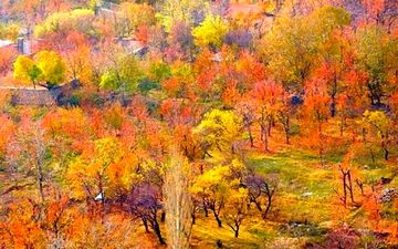چندین مکان گردشگری برای سفر پاییزی

