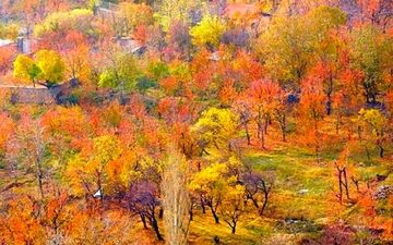 چندین مکان گردشگری برای سفر پاییزی
