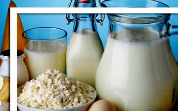 خطر تب مالت با لبنیات محلی / تاکید وزارت بهداشت بر مصرف لبنیات پاستوریزه