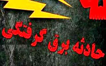 برق گرفتگی مرگبارد ر کرمانشاه