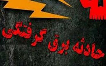 برق گرفتگی مرگبارد ر کرمانشاه