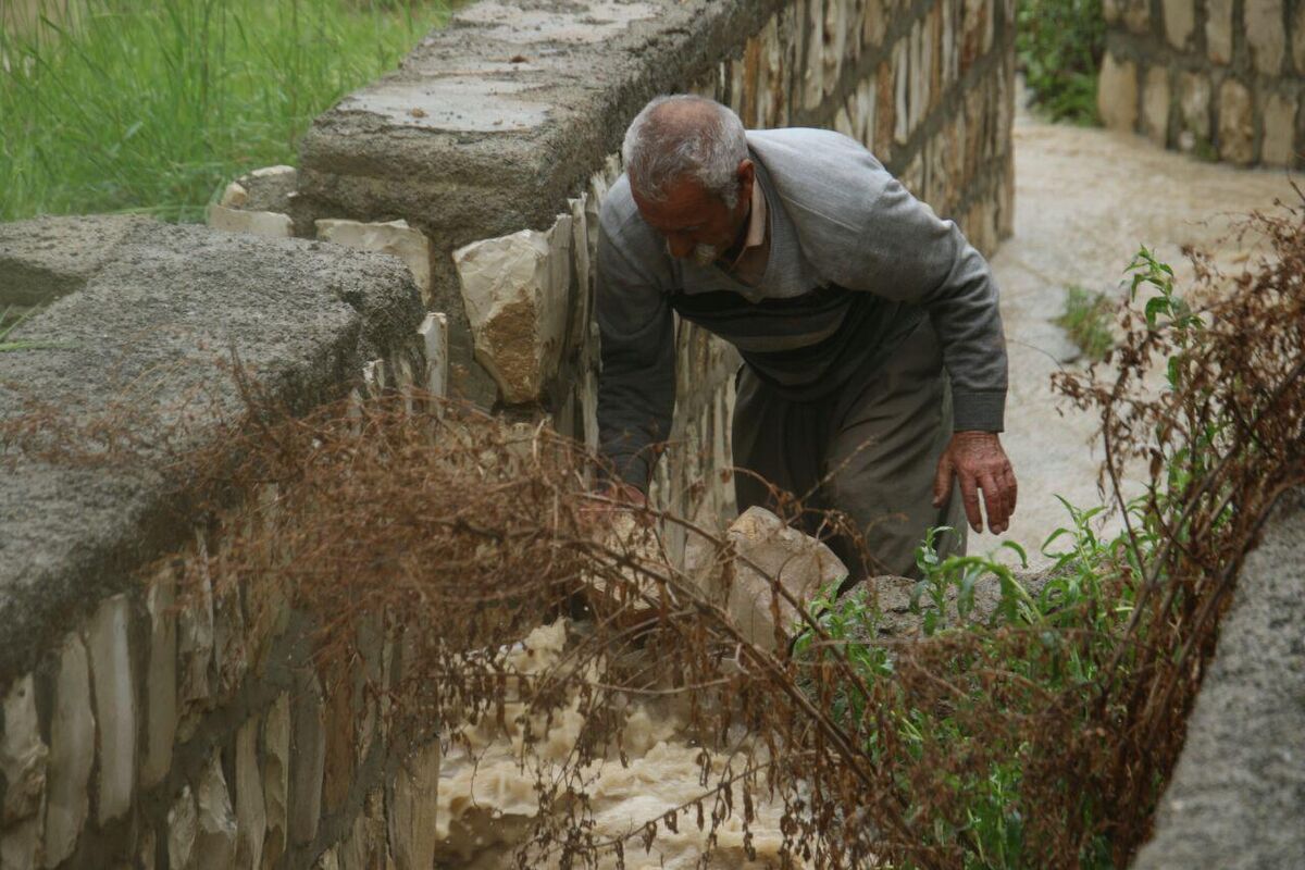 تگرگ در گهواره