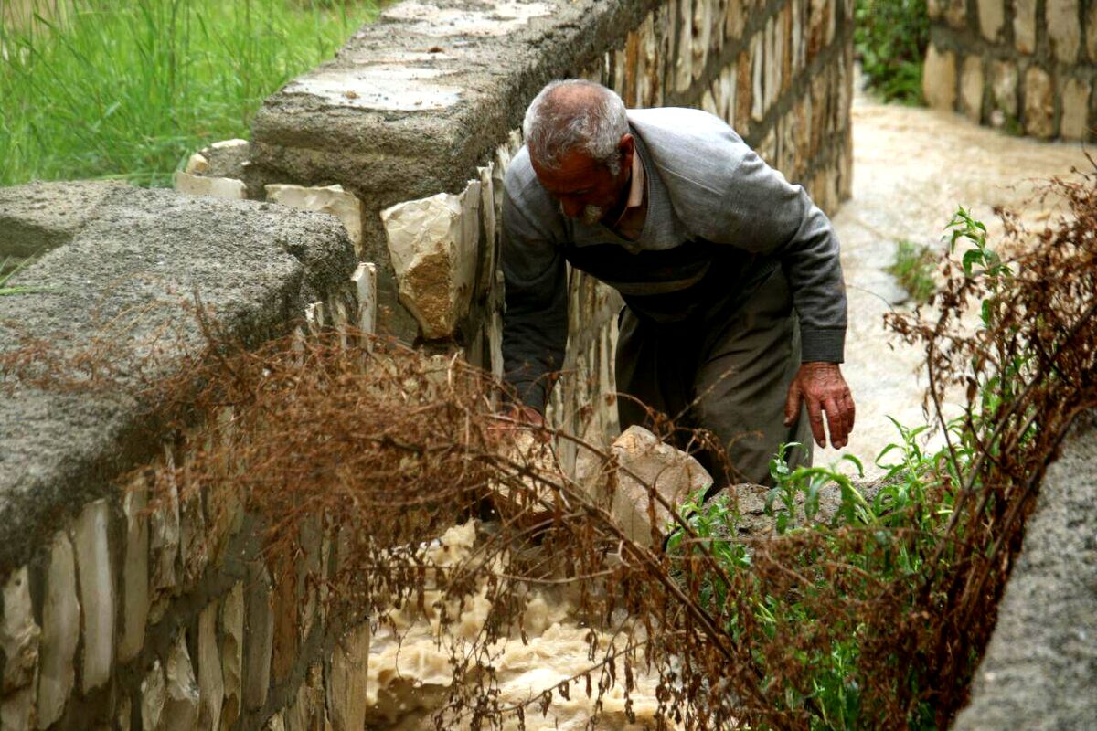 تگرگ در گهواره