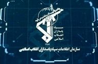 دستگیری وطن‌فروش در ری به‌دست سربازان گمنام امام زمان (ع)