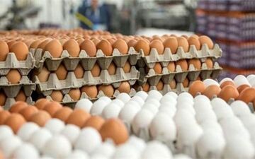 
قیمت مرغ، تخم‌مرغ، لبنیات و روغن تغییر خواهد کرد