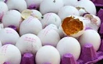 کشف و معدوم سازی ٦هزار تخم مرغ فاسد در یک شیرینی پزی بهارستان