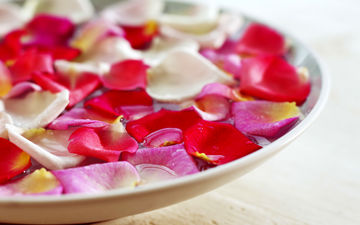 ماسک‌هایی طبیعی که پوستتان را مثل برگ گل زیبا و نرم می‌کند+ دستورالعمل