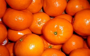آشنایی با خواص شگفت انگیز نارنگی