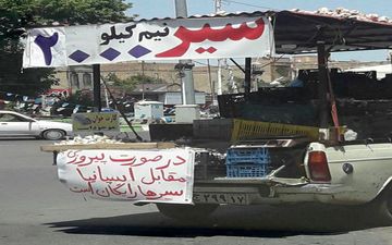 عکس/ سیر رایگان در صورت برد ایران