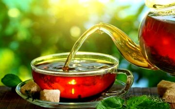 تصفیه طبیعی آب با دم کردن چای