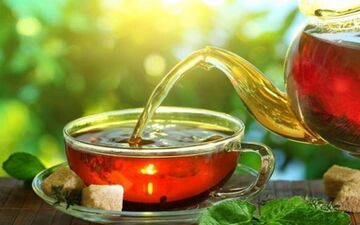 تصفیه طبیعی آب با دم کردن چای