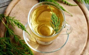 گیاه دم اسبی: ۷ خاصیت شگفت‌انگیز برای سلامتی و زیبایی