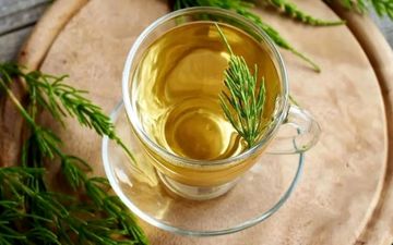 گیاه دم اسبی: ۷ خاصیت شگفت‌انگیز برای سلامتی و زیبایی