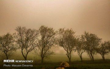 طوفان کرمان را فرا می گیرد