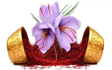 چه موقع از سال زعفران بخریم؟ + لیست قیمت انواع زعفران