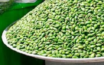 جولان میوه های اعیانی در پایتخت + فیلم