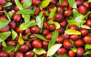 خواص این میوه برای سلامت جنسی مردان

