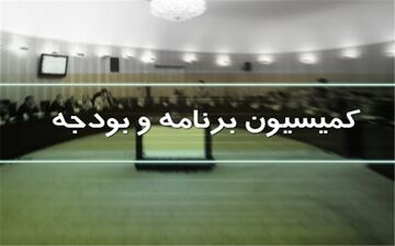 تصویب تأسیس یک بانک جدید در کمیسیون بودجه مجلس