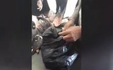 قاچاق مسافری پرنده‌های بینوا در مرز شلمچه