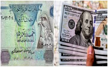 قیمت درهم، دلار و یورو امروز سه شنبه 5 اردیبهشت 1402/ نوسان محدود نرخ درهم 