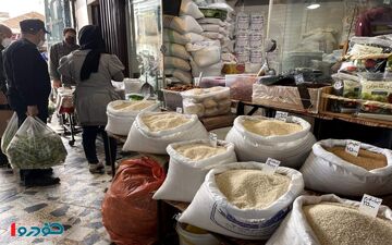 برنج ایرانی را تا ۲ هفته دیگر با این قیمت بخرید