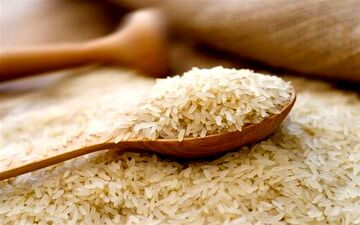 قیمت برنج ایرانی سرسام آور شد+جزئیات