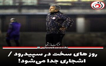 روز های سخت در سپیدرود / اشجاری جدا می‌شود!