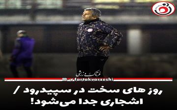 روز های سخت در سپیدرود / اشجاری جدا می‌شود!