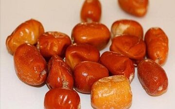با خواص معجره‌آسای پودر "سنجد" آشنا شوید 