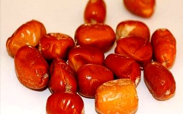  خواص معجره‌آسای پودر "سنجد"