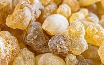 کُندر و رابطه آن در کاهش مشکلات کبدی و کلیوی