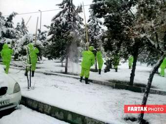برف در تهران