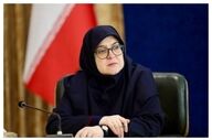 مهاجرانی: تمام وزرای دولت کنار مردم هرمزگان ایستاده‌اند 