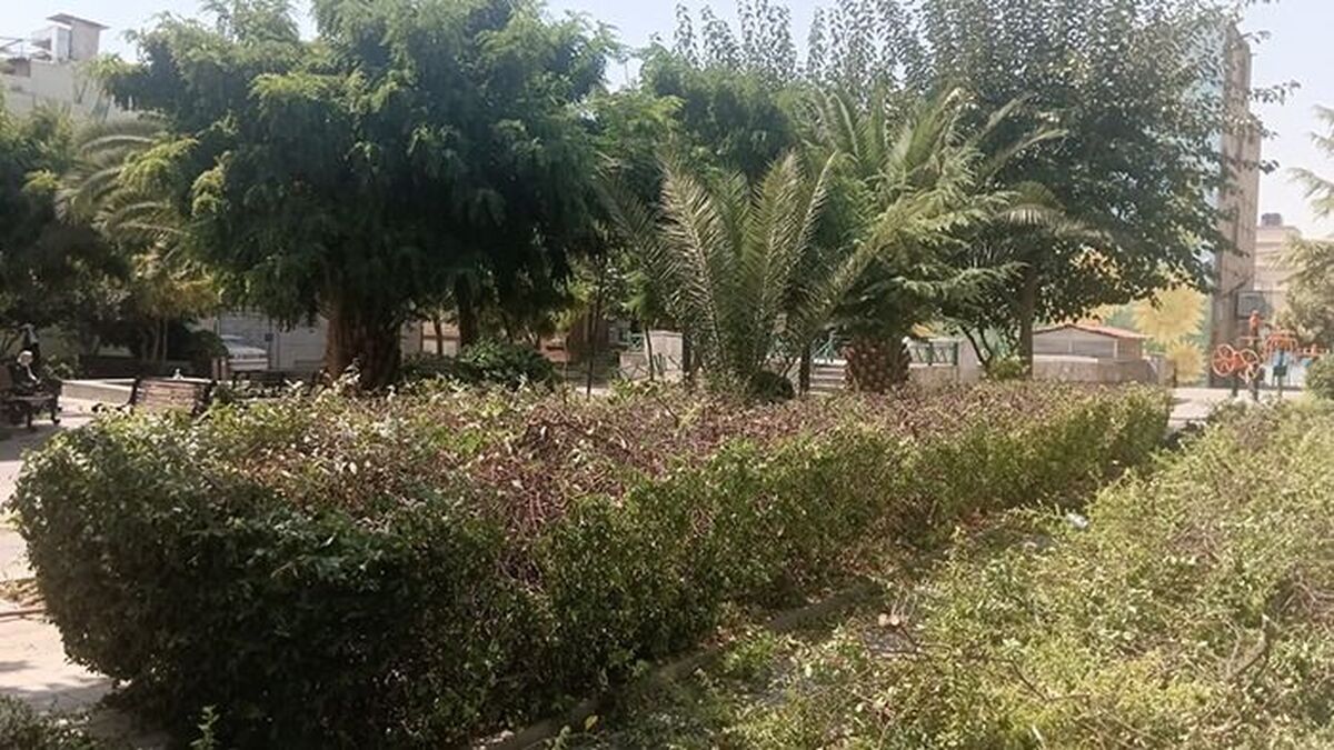 سالم‌سازی فضای بوستان شهید دیالمه در منطقه 12