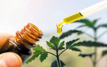 با این گیاهان هورمون‌های بدن را تنظیم کنید