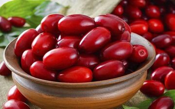 قوی ‌ترین گیاهان ضد پیری 