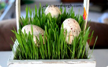  سبزه عیدتو اینطوری تزیین کن تا متفاوت باشی