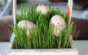  سبزه عیدتو اینطوری تزیین کن تا متفاوت باشی