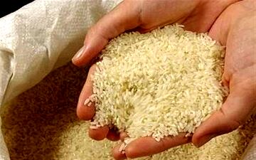  ارز ۴۲۰۰تومانی همچنان برای برنج تخصیص داده می‌شود/ خط و نشان برای گرانفروش‌ها