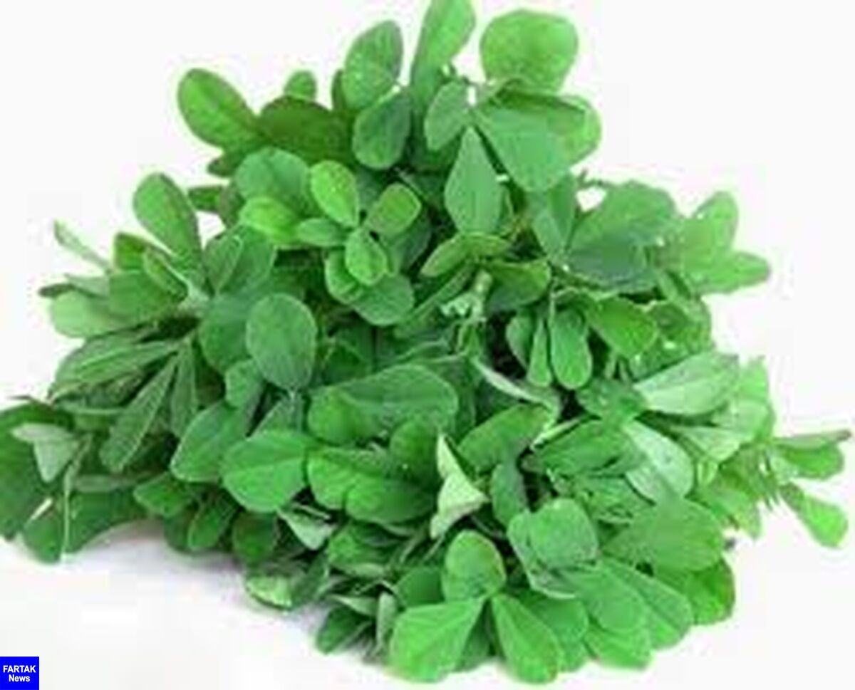 لاغری آسان با مصرف شنبلیله

