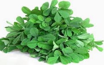 هشدار؛ این افراد نباید سبزی شنبلیله بخورند! 