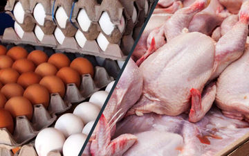 قیمت جدید مرغ و تخم مرغ و بلدرچین در بازار | هر کیلو فیله مرغ چند؟