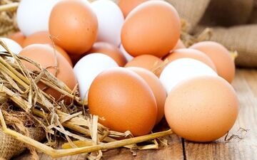 شانه تخم مرغ کیلویی چند؟