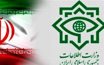  انهدام شبکه مفسدان ارز دولتی توسط وزارت اطلاعات/ ۱۱ نفر بازداشت شدند
