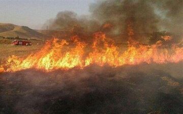 5 هکتار از اراضی کشاورزی اسلام آبادغرب طعمه حریق شد  