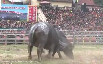 هنرنمایی عجیب پدری که جان پسربچه دوساله را تهدید کرد +فیلم