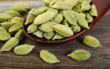 لاغری و زیبایی در کنار یکدیگر تجربه کنید!