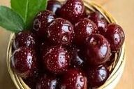 خواص بی نظیر گیلاس!