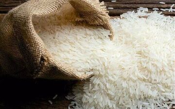 پیش‌بینی کاهش قیمت برنج با ورود محصول امسال و وارداتی در آینده نزدیک